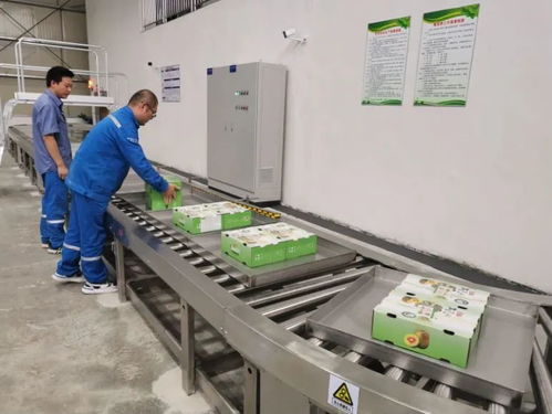 治愈系云游 廣西風情瑤鄉的美麗蝶變與廣東省基礎電信業務新篇章