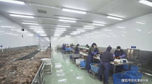 食品工業廢水除臭劑的使用方式及其在廣東省基礎電信業務中的潛在應用